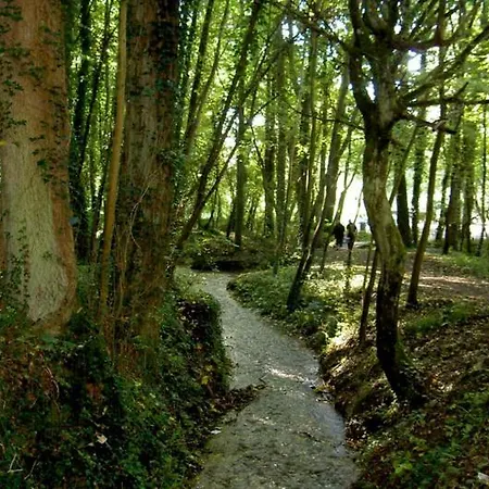 Campings.com La Kilienne* Campsite *